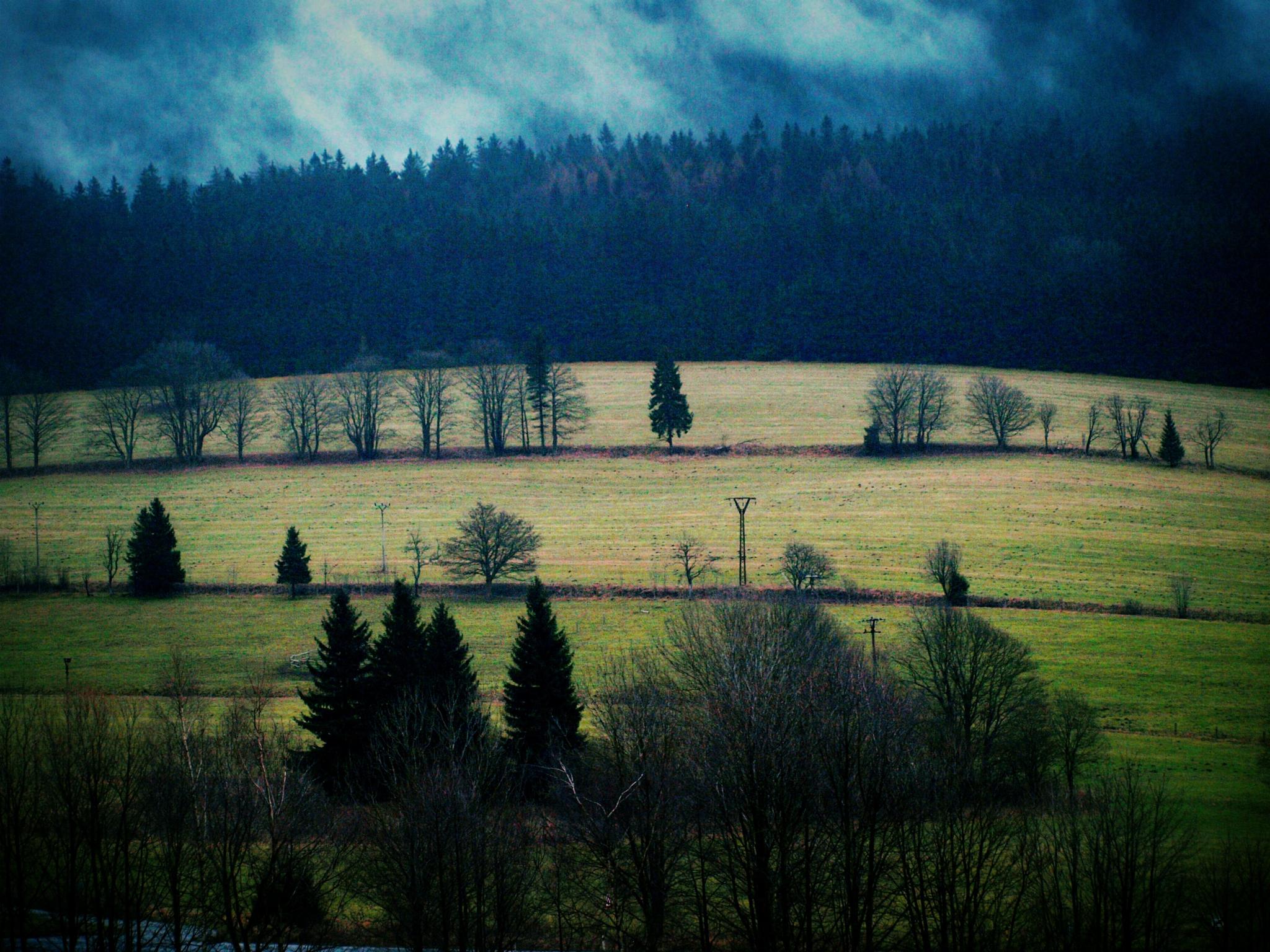 249_OSnHd1IjkGYV4qQi_161328